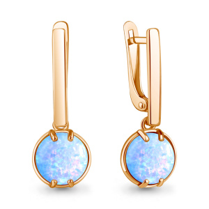 45005697 Серьги (Ag 925)