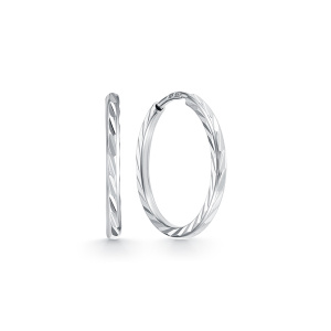 с020015-1 Серьги (Ag 925)