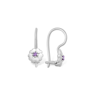 1210017406 Серьги (Ag 925)