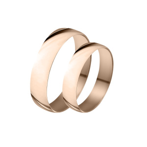 17005 Кольцо (Золото 585)