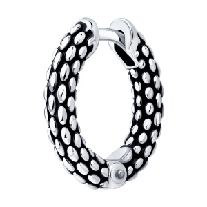 95170018 Серьги (Ag 925)