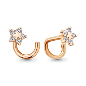 75568 Пирсинг (Au 585)