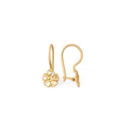 С71012007 Серьги (Au 375)