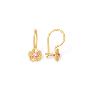 С73211373 Серьги (Au 375)